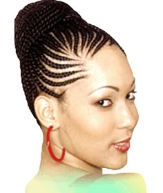 Carrot Puff Hairstyles, Braid Hairstyles Black Women, Carrot Puff, Fishtail Braid Hairstyles Black Women, Braid Hairstyles Black, Puff Hairstyles, Black Hair Updo Hairstyles, Fishtail Braid Hairstyles, Braiding Styles