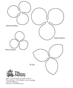 the four petals are shown in three different ways