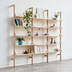 a wooden shelf filled with lots of books and potted plants next to a white wall