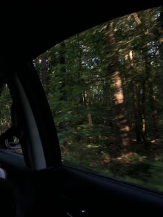 a car driving through the woods with trees in the background