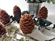 some pine cones are sitting on the table