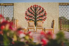 two chairs sitting next to each other in front of a tree