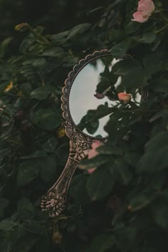 a mirror sitting on top of a tree filled with leaves