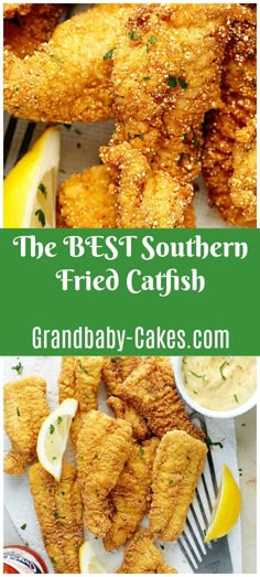 the best southern fried catfish recipe