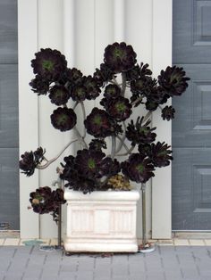 a potted plant sitting in front of a white door with black flowers on it