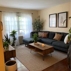 a living room filled with furniture and potted plants in front of a window on top of a rug