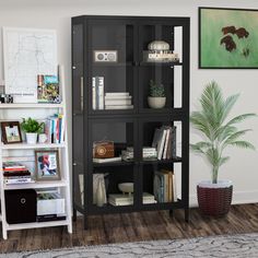 a black bookcase with many books on it in a living room next to a potted plant