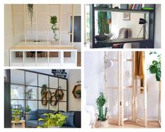 four different pictures with plants in them and some bookshelves on the wall behind them