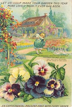 an old advertisement for pansies from the early 1900's, with children picking flowers