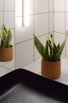 two potted plants sitting on top of a counter next to a mirror in a bathroom