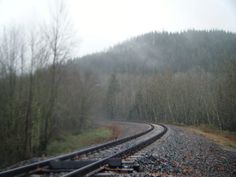 a train track in the middle of a wooded area