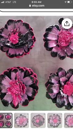 some pink and black flowers are on display