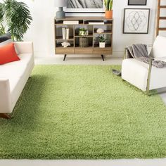 a living room filled with furniture and a green rug