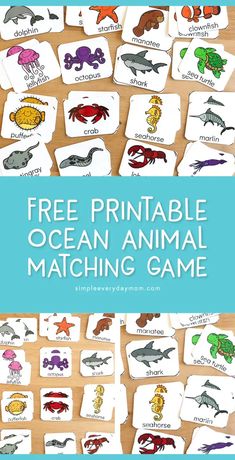 an ocean animal matching game with the words free printable