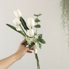 a hand holding a bouquet of white flowers