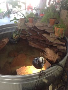 a large metal tub filled with water and plants