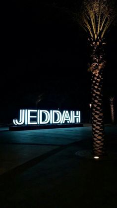 a palm tree in front of a sign that says jeedddahh at night