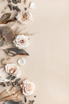 an arrangement of flowers and feathers on a beige background