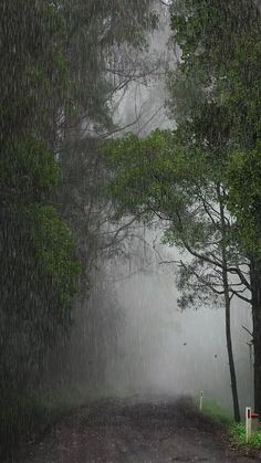 an image of a road that is in the rain