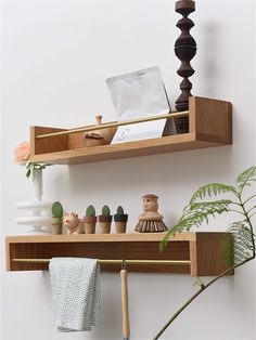 two wooden shelves with plants and other items on them