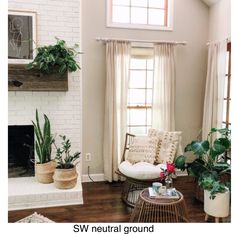 a living room filled with lots of plants next to a fire place in a fireplace