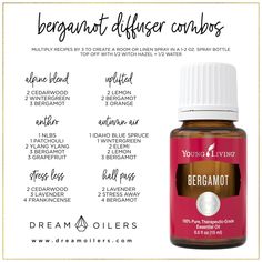 Young Living Bergamot essential oil diffuser ideas Diffuser Blends With Bergamot, Bergamot Essential Oil Blends, Bergamot Diffuser Blends, Bergamot Diffuser Blend, Bergamot Essential Oil Uses, Young Living Bergamot, Essential Oils For Wrinkles, Oils For Wrinkles, Young Living Diffuser Recipes