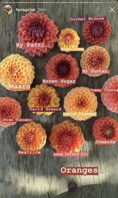 an image of flowers with names on them