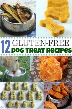 12 gluten free dog treat recipes