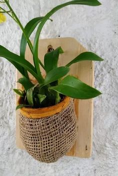 a potted plant with green leaves in a burlocked holder on a wall