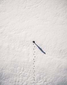 a person is walking in the snow with a long stick attached to their back end