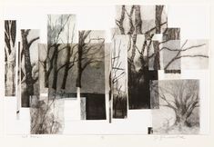 black and white drawing of trees with no leaves on them, all in different shades