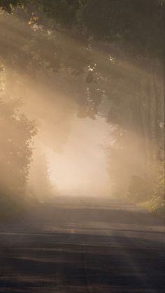 an empty road with trees and fog on it