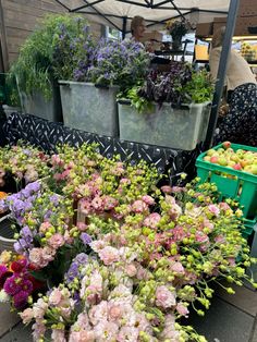 many different types of flowers are on display