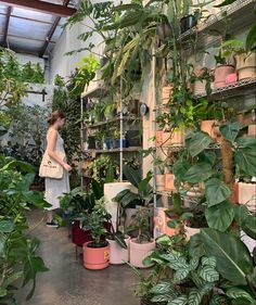 a woman in a greenhouse with lots of plants and potted plants on shelving