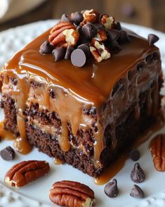 a piece of chocolate cake on a plate with pecans