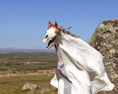 a cow skull is wrapped in a sheet on the side of a hill with rolling hills behind it