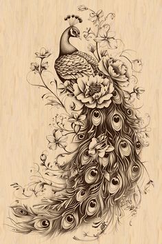 a drawing of a peacock with flowers on it's back and feathers in the foreground