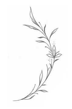 a black and white drawing of a plant