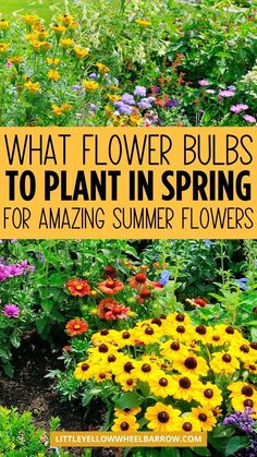 colorful flowers with the words what flower bulbs to plant in spring for amazing summer flowers