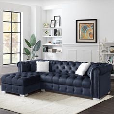 a living room with a blue couch and white rug