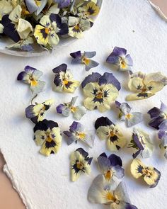 the pansies have been cut into small pieces