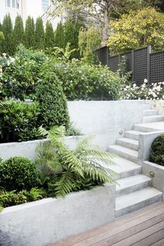 an outdoor garden with concrete steps and plants