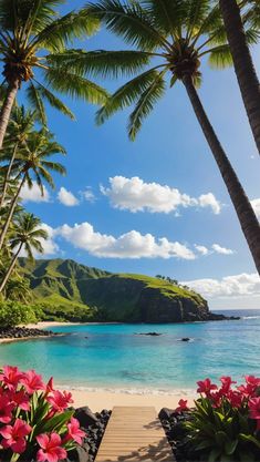 🌺 Bliss Island: Embrace Tranquility and Luxury in Hawaii&#8217;s Ultimate Spa Retreats 🌴 Hawaii Landscape Wallpaper, Beautiful Islands Paradise, Cute Hawaii Pictures, Hawaiian Pictures, Pictures Of Hawaii, Hawaii Beach Aesthetic, Hawaii Background, Hawaiian Wallpaper, Summer In Hawaii