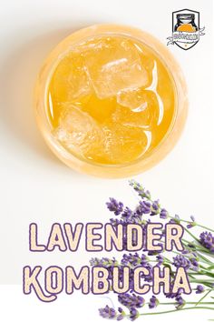 lavender kombucha in a glass with ice cubes and flowers on the side