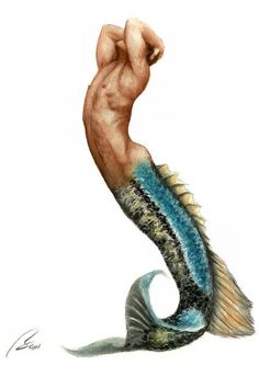 a drawing of a man's arm with a fish tail