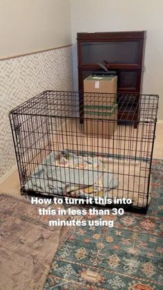 a dog cage sitting on top of a rug