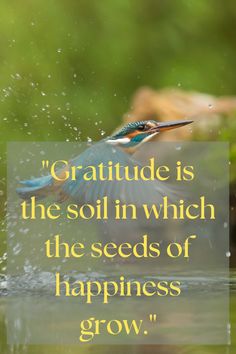 a bird flying through the air with a quote above it that reads, gratitude is the soil in which the seeds of happiness grow