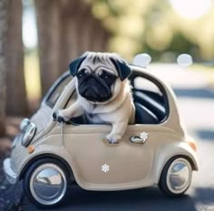 a small pug dog sitting in the driver's seat of a toy car