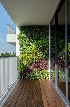 the balcony is covered with plants and wooden flooring