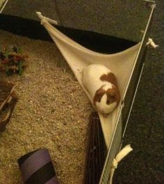 a cat sleeping in a hammock on the floor